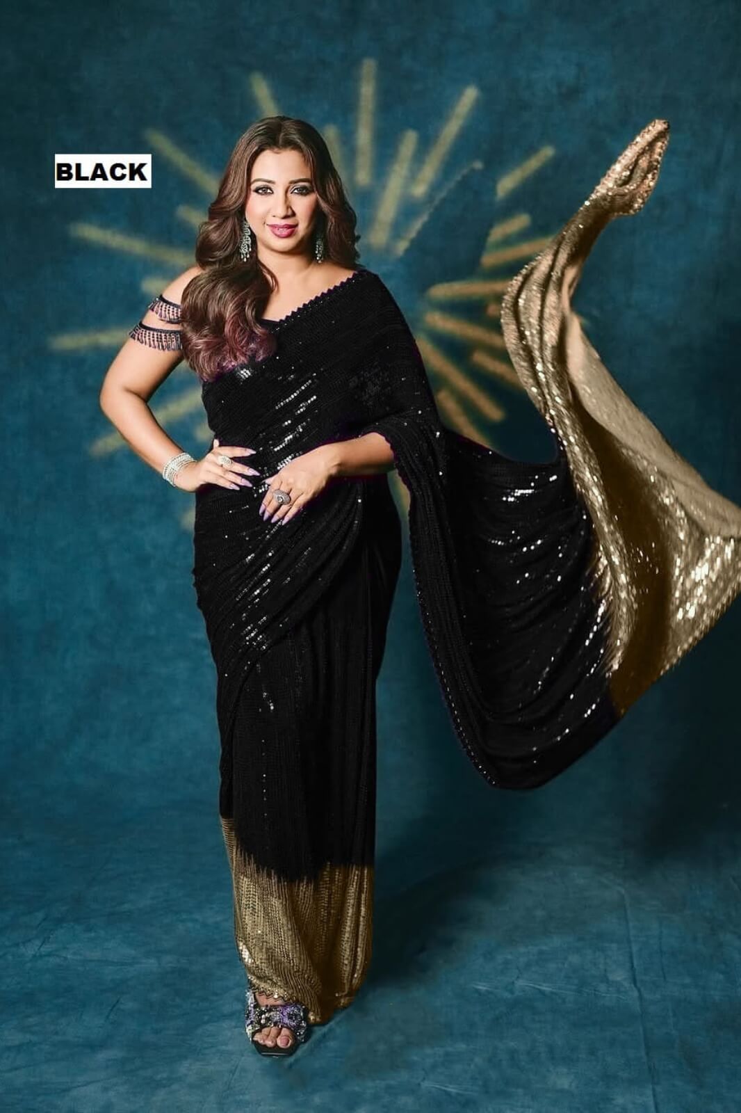New Bollywood Blockbuster Sequin Saree