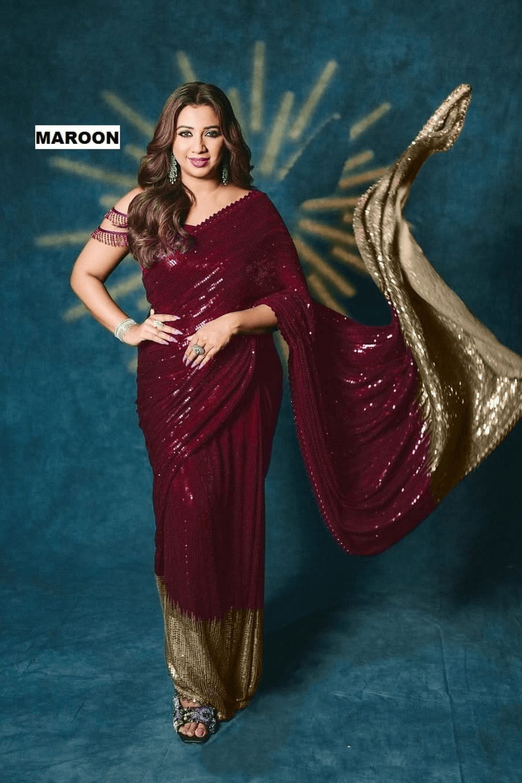 New Bollywood Blockbuster Sequin Saree