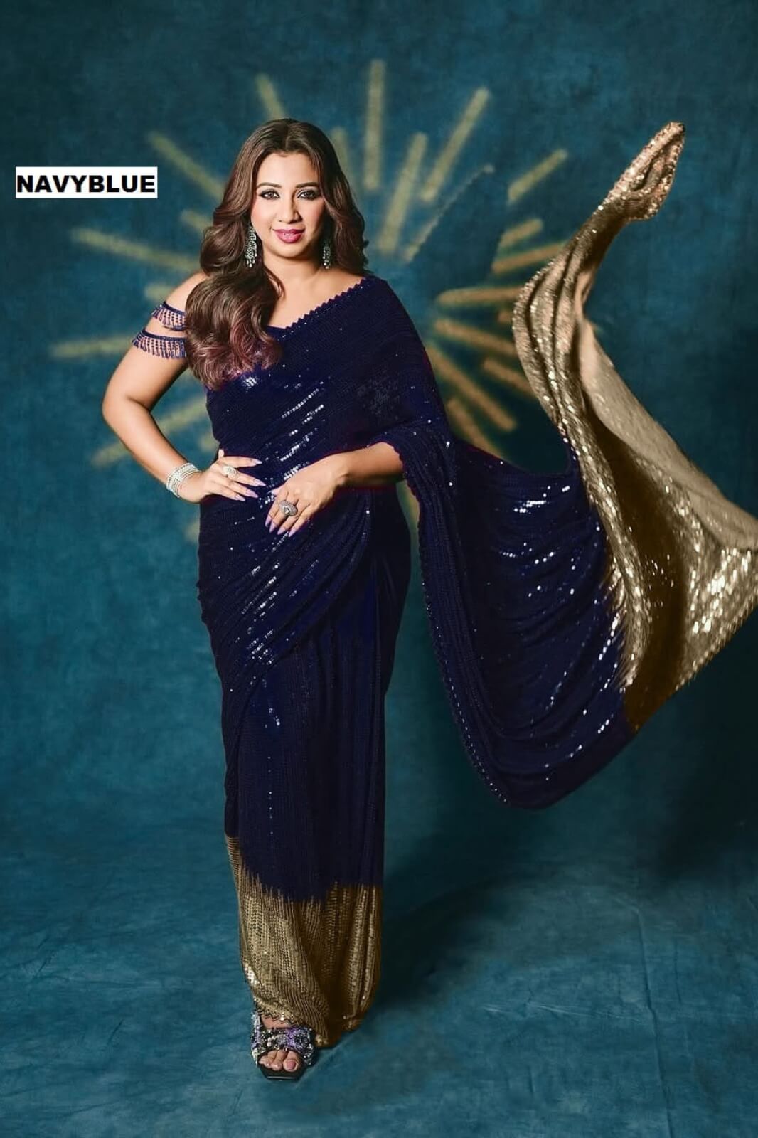 New Bollywood Blockbuster Sequin Saree