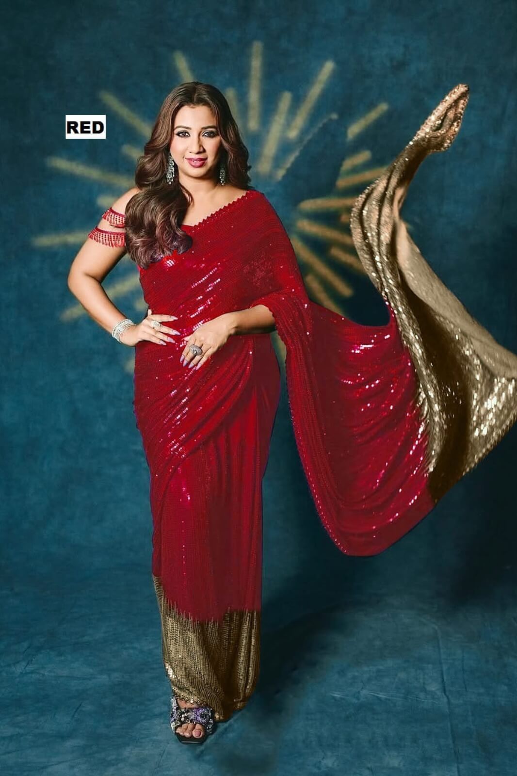 New Bollywood Blockbuster Sequin Saree