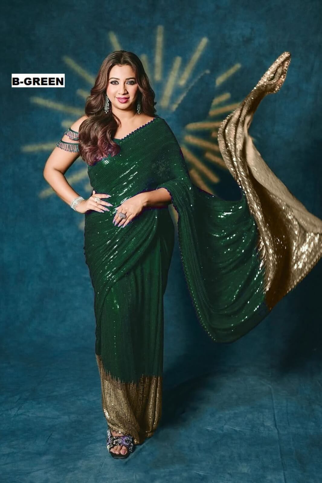 New Bollywood Blockbuster Sequin Saree